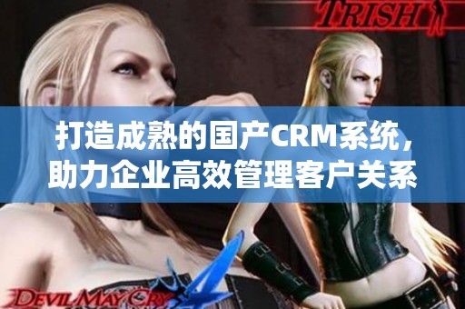 打造成熟的国产crm系统，助力企业高效管理客户关系